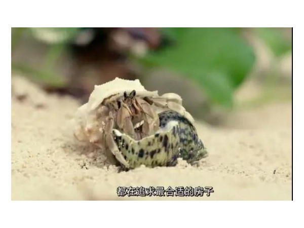會(huì)移動(dòng)的戶外廣告來(lái)了，根本不夠看！